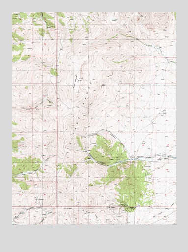 Mount Callaghan, NV USGS Topographic Map