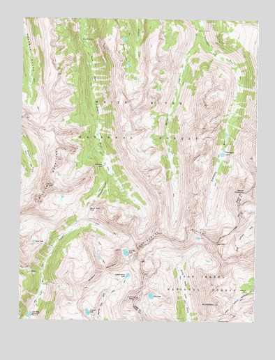 Mount Champion, CO USGS Topographic Map