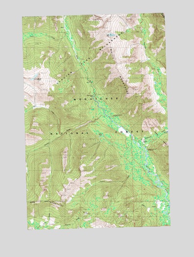Mount David, WA USGS Topographic Map