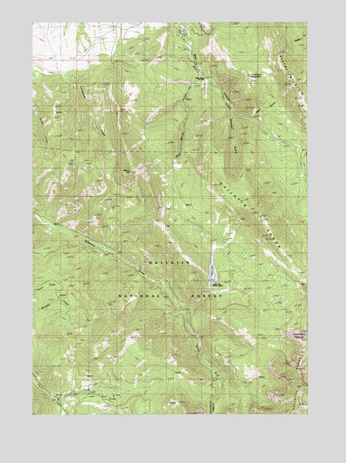 Mount Ellis, MT USGS Topographic Map
