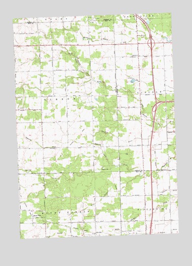 Mount Forest, MI USGS Topographic Map