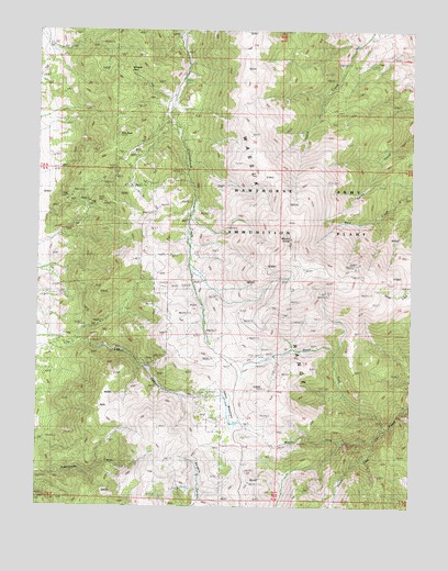 Mount Grant, NV USGS Topographic Map