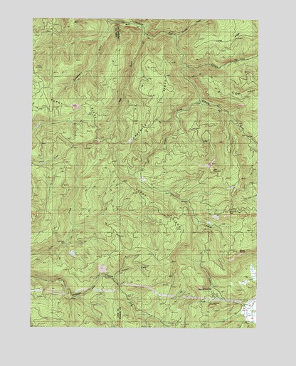 Mount Gurney, OR USGS Topographic Map
