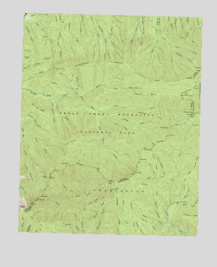 Mount Guyot, TN USGS Topographic Map