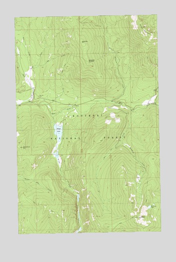 Mount Henry, MT USGS Topographic Map