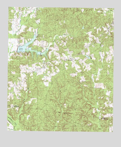Mount Herman, TX USGS Topographic Map