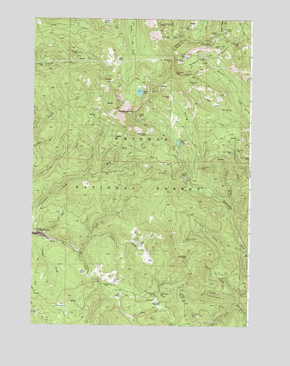 Mount Ireland, OR USGS Topographic Map