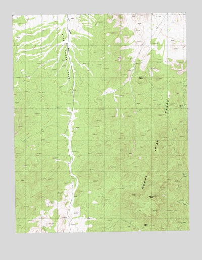 Mount Irish, NV USGS Topographic Map