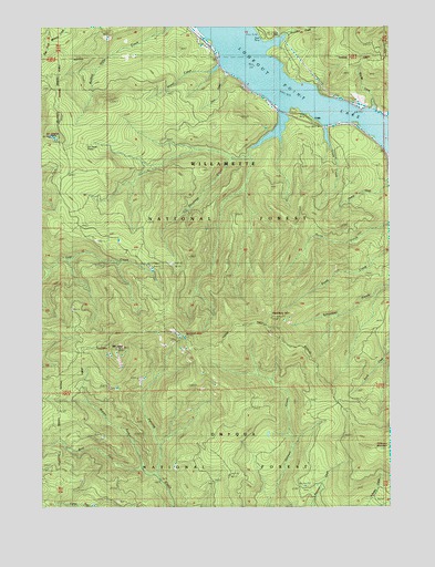 Mount June, OR USGS Topographic Map