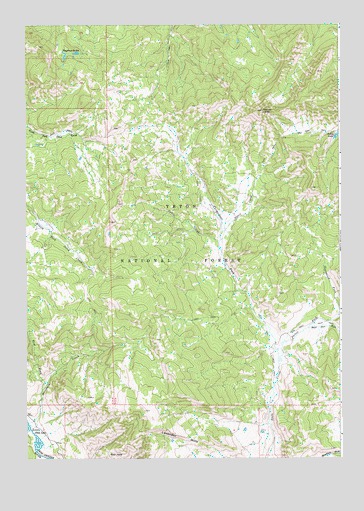 Mount Leidy, WY USGS Topographic Map