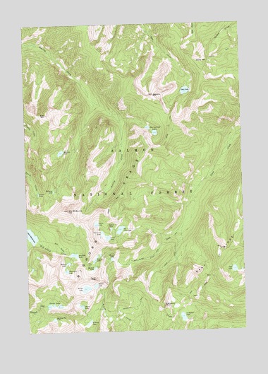Mount McGuire, ID USGS Topographic Map