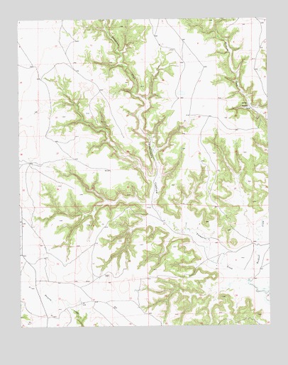 Beenham, NM USGS Topographic Map