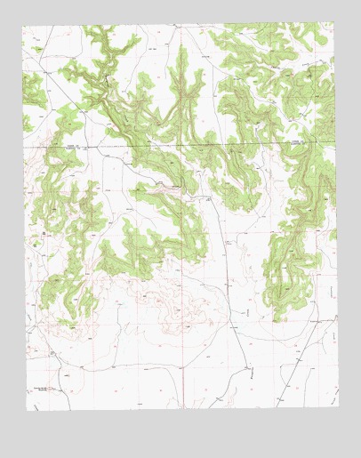 Beenham SW, NM USGS Topographic Map