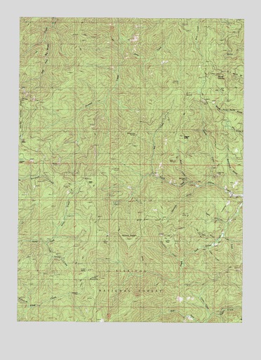 Mount Peavine, OR USGS Topographic Map