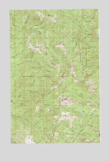 Mount Pend Oreille, ID USGS Topographic Map