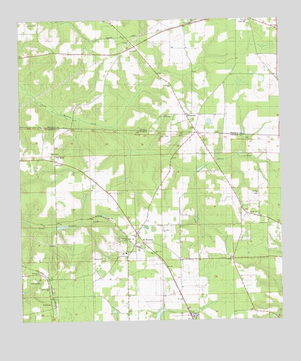 Mount Pleasant, FL USGS Topographic Map