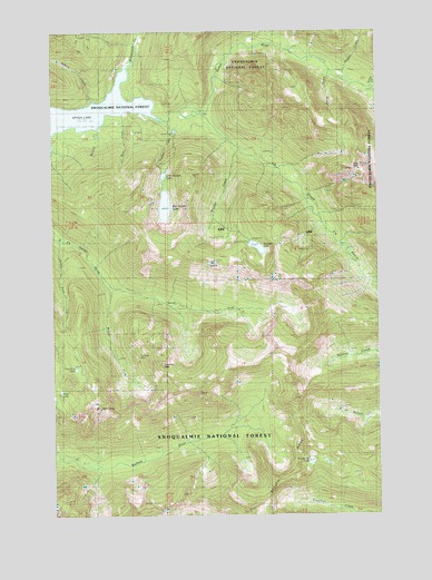 Mount Stickney, WA USGS Topographic Map