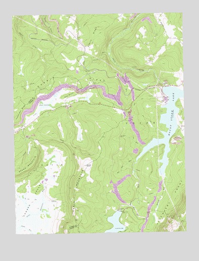 Mount Storm Lake, WV USGS Topographic Map