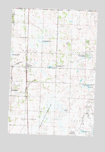 Bejou, MN USGS Topographic Map
