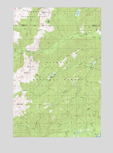 Mount Washington, WA USGS Topographic Map