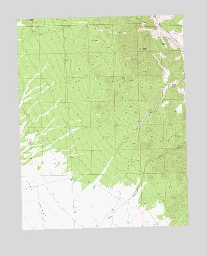 Mount Wilson, NV USGS Topographic Map