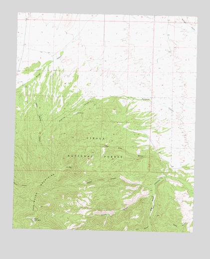 Mount Withington, NM USGS Topographic Map