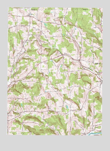 Belden, NY USGS Topographic Map