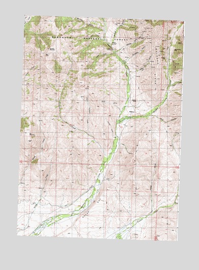 Muldoon, ID USGS Topographic Map