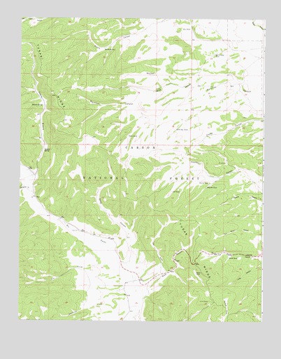 Mule Canyon, NM USGS Topographic Map