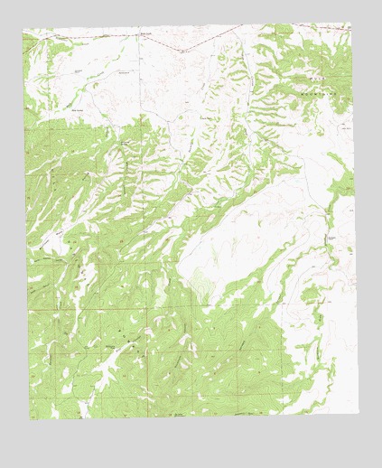 Mule Creek, NM USGS Topographic Map