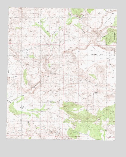 Muleshoe Ranch, AZ USGS Topographic Map