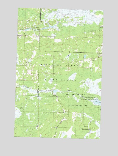 Mulligan Lake, MN USGS Topographic Map
