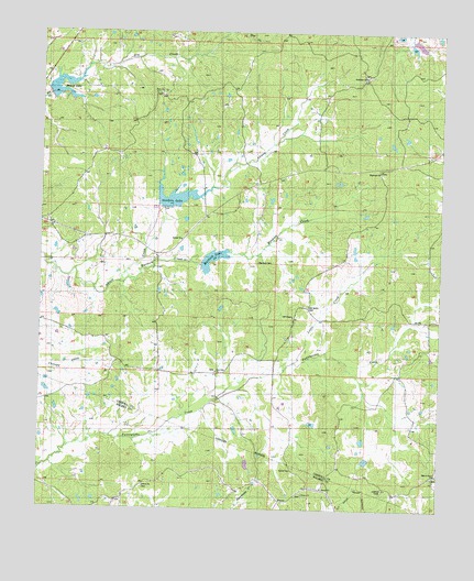 Murdock Lake, MS USGS Topographic Map