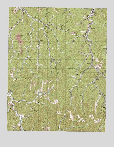 Belfry, KY USGS Topographic Map
