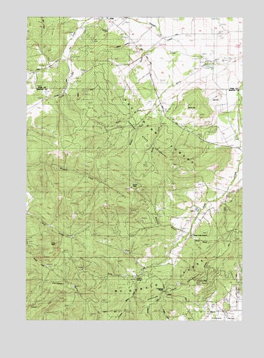 Airlie South, OR USGS Topographic Map