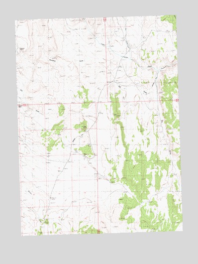 Mustang Draw, NV USGS Topographic Map