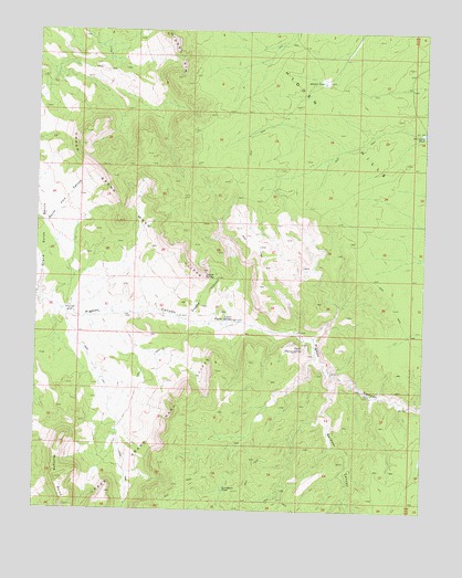 Mustang Point, AZ USGS Topographic Map