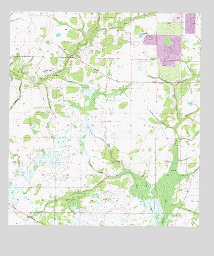 Myakka City NW, FL USGS Topographic Map