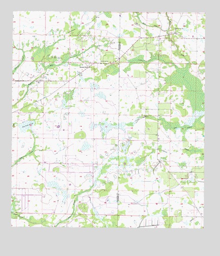 Myakka Head, FL USGS Topographic Map