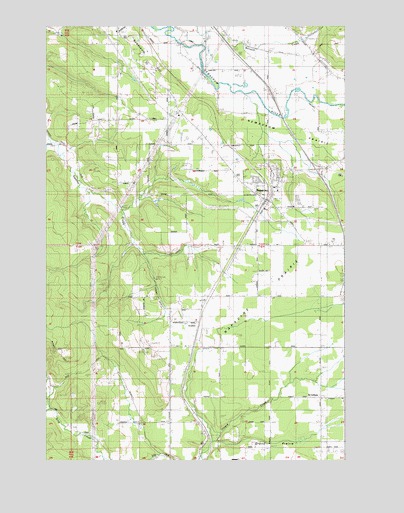 Napavine, WA USGS Topographic Map