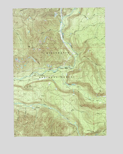 Belknap Springs, OR USGS Topographic Map