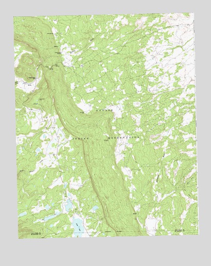 Narbona Pass, NM USGS Topographic Map