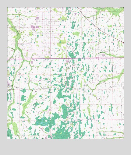 Narcoossee NE, FL USGS Topographic Map