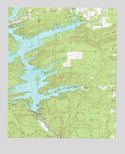 Narrows Dam, AR USGS Topographic Map