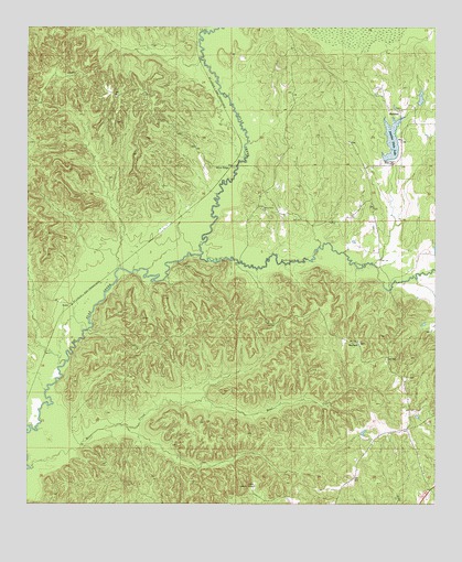 Natchez, AL USGS Topographic Map