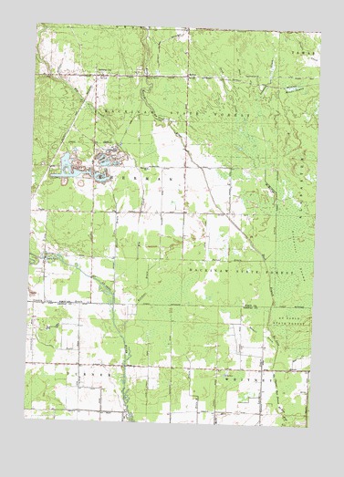 National City, MI USGS Topographic Map