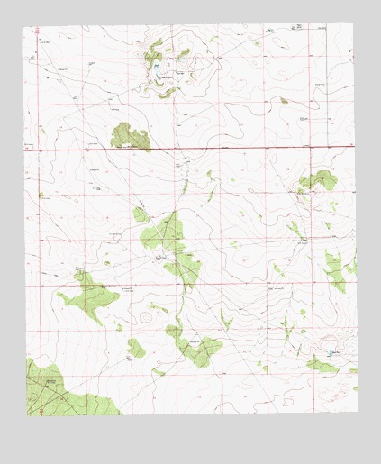 Bell Lake, NM USGS Topographic Map