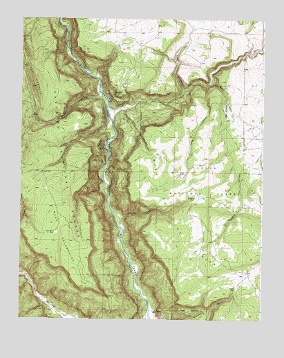Navajo Peak, NM USGS Topographic Map