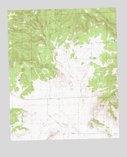 Bell Peak, NM USGS Topographic Map