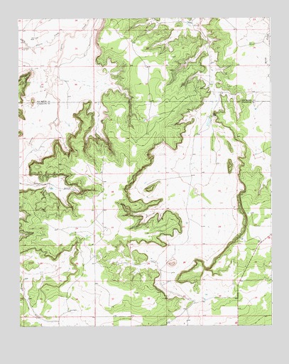 Neafus Ranch, NM USGS Topographic Map